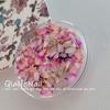 Arte de uñas estilo japonés INS, flores secas, Monet, pintura al óleo de jardín, combinación de colores, flores pequeñas, flores mixtas, material DIY, joyería para uñas
