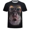 Venda direta de fábrica transfronteiriça estilo quente tendência Macaco Gorila Camiseta Masculina Camiseta com impressão digital 3D casual hip-hop
