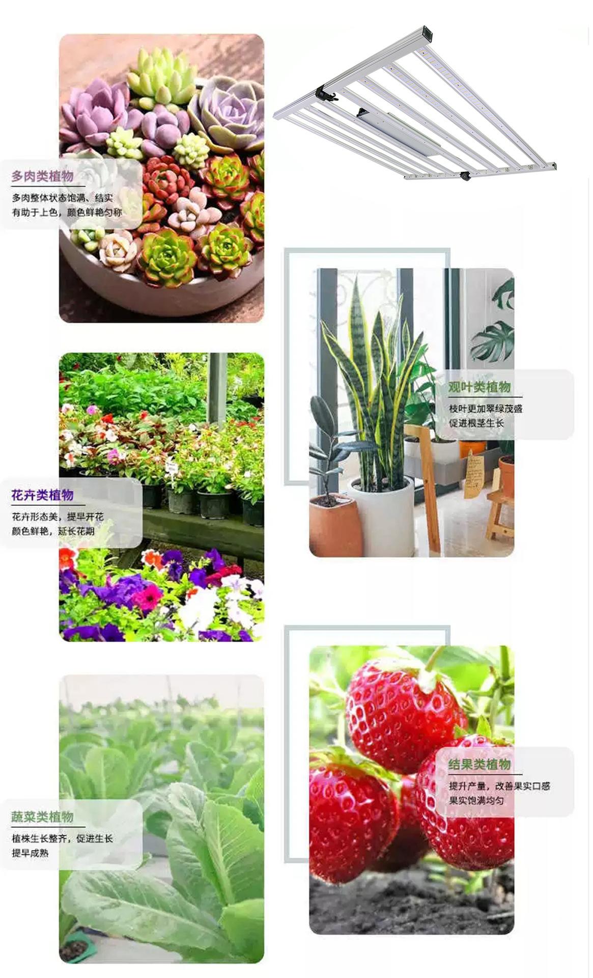 防水植物灯