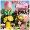Decorações Infláveis de Flores da Primavera para Locais de Fotos ao Ar Livre, Populares para Fotos em Redes Sociais, Belas Decorações de Exibição, Tulipas Luminosas Penduradas
