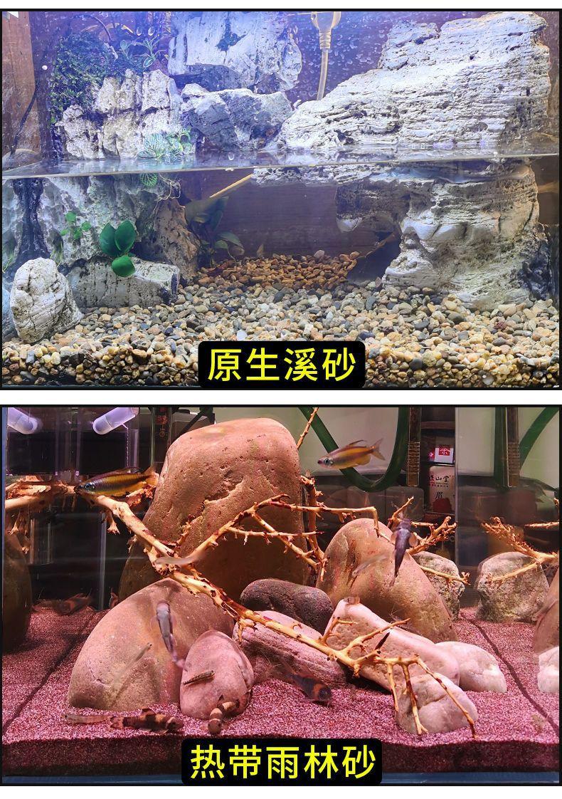 详情页图片5