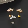 Hastes de Aço Inoxidável Transfronteiriças Micro-Pavimentadas com Zircônia Coroa Unhas de Hélice Unhas Labiais Brincos Brincos da Moda Joias de Piercing Europeias e Americanas