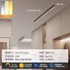 [Transfronterizo] Lámpara de techo lineal larga para balcón, iluminación principal sin pantalla minimalista para sala de estar, luz lineal para pasillo y vestidor