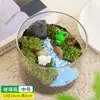 Paisaje en Miniatura con Musgo Materiales DIY Bolsa de Materiales Botella Cilíndrica Manualidades Creativas para Padres e Hijos Mini Diversión Planta Verde Planta en Maceta