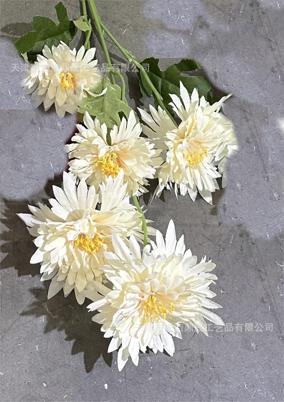 微信图片_20230723132443(6)