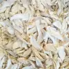 Hongo de Jade Blanco, Hongo Dorado, Hongo de Cuerno de Ciervo, Hongo Marino, Hongo Shiitake, Seta de Cardo, Flor de Cordyceps, Seta de la Trompeta, Hongo de Olmo Amarillo