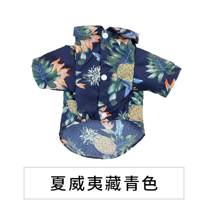 夏藏青.jpg