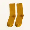 Calcetines para Mujer de Media Pantorrilla Estilo Coreano Otoño e Invierno Calcetines de Felpa Color Sólido Estilo Japonés Retro Estilo Ins Niñas Medias Negras Mayoreo