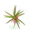 Ventas Directas de Fábrica Paredes de Plantas Simuladas Accesorios de Decoración de Paredes de Plantas Verdes Hierba Orquídea Araña Individual Hojas de Orquídea Araña con Borde Dorado