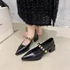 Sapatos Mary Jane Moda Outono Bico Fino Salto Bloco Versátil Tira Única 2026 Sapatilhas Femininas para Saia Trabalho Feminino com Cadarços