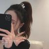 High Pony Tail Artefato Fixo Pequeno Grab Clip Metal Acessórios de cabelo pequeno Mini Head Shark Clip Headwear Hairwear Hair Clip