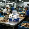 Ungüento Rey de Hongos de Yunnan Douyin para Uso Externo, Crema Herbal Antibacteriana y Anti-Picazón para la Piel, Fabricante de Origen, Venta al por Mayor y Dropshipping de Ungüentos