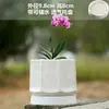 Vaso de Cerâmica para Flores com Prato, Estilo Ins de Luxo Leve, Diâmetro Grande, Estilo Creme, para Orquídeas e Suculentas, Liquidação
