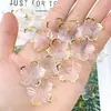 Acrílico 24 mm Transparente Borde Dorado Cinco Pétalos Agujero Recto Estilo Antiguo Ramo Joyería Pasador de Pelo Gelatina Caliente Oro Pétalos de Ciruela