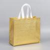 En stock Bolsa de Película de Aluminio Láser Tela No Tejida de Colores Bolsa de Película Tridimensional Bolso de Mano para Ropa Fuera de Horario Bolsa para Ropa