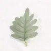 Hojas de plantas verdes artificiales, plantas acuáticas, hierba de fénix, hojas persas, ramilletes de boda, ramos de novia, materiales decorativos de plantas artificiales
