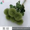 Bolas de Cebolla Bolas de Diente de León Adornos para el Hogar Flores de Simulación de Ajuste Suave Accesorios para Sesión de Fotos Flores para Sostener Flores Falsas