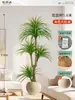 Plantas Verdes Artificiais de Alta Qualidade para Decoração de Sala de Estar, Planta Realista Falsa de Figueira-da-Índia Preta para Decoração de Sala de Transmissão ao Vivo