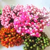 Fábrica en stock DIY simulación de guirnalda de espuma de bayas pequeñas Accesorios DIY Accesorios de fotografía 1 manojo/180