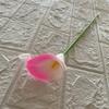 Flor Artificial Mini Ferradura Única Decoração de Casa Adereços de Fotografia Toque Macio Borracha Ferradura Lótus Arte Exportação