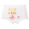 Producto Nuevo Venta al por Mayor Ropa Interior para Niñas Modal Verano Delgado Transpirable Categoría a Mediana y Grande Niños Niñas Bebés Shorts para Niños