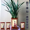 Moran planta em vaso empresa preto Phnom Penh Montanha Jinhua Flor de orquídea de Ano Novo sala de estar varanda folha larga orquídea perfumada perene o ano todo