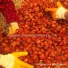Pote de açúcar a vácuo de pêssego amarelo Equipamento de imersão de açúcar a vácuo cítrico Equipamento de imersão de açúcar a vácuo de frutas cristalizadas de frutas cristalizadas