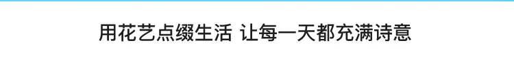 详情_07.jpg