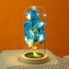 Decoração Iluminada com Tampa de Vidro de Rosa Transfronteiriça Rosa Eterna Transparente Luz LED Criativa Ornamento de Mesa Fabricante Atacado