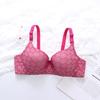 Novo comércio exterior transfronteiriço europeu e americano multicolorido push up confortável respirável roupa íntima feminina com anel de aço sutiã de uma peça plus size