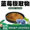 Polvo de Extracto de Arándano 10:1 Materia Prima de Producto Alimenticio y de Salud Extracto Vegetal Soluble en Agua Procesamiento de Bebidas Sólidas Personalización