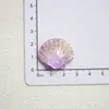Accesorios de Resina de Concha de Estrella de Mar Oceánica Degradada Materiales de Combinación Hechos a Mano Colgante de Pegamento de Crema Creativo DIY Colgante