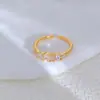 Amazon Temu Xiyin Más Vendido Anillo Sencillo para Mujer de Circonita Cúbica de Colores de Zirconio de 18 Quilates Piedra de Nacimiento de Diciembre