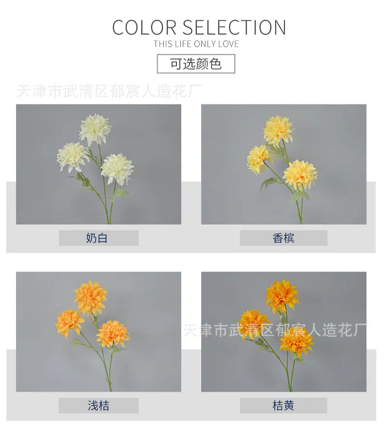 详情_02.png