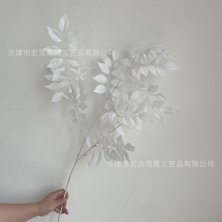 微信图片_202204081408597_副本