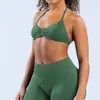 Sujetador deportivo de yoga sin costuras de nailon mate de alta elasticidad con cuello halter para mujer, ropa interior deportiva de espalda hermosa para mujer, sujetador deportivo exterior