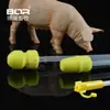 Vaso deferente de cerdo tipo exportación con tapón de cola después del parto con tapón de cola para prevenir el reflujo de semen empaque individual