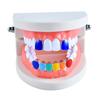 Nueva oferta de brackets de hip hop europeos y americanos de colores, con combinación de dos dientes y brackets de oro auténtico.