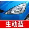 8. Plumón de pintura de retoque GAC Honda para Accord, Avancier y Odyssey - una herramienta de retoque para coche para reparación de rayones