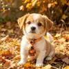Lazos de Acción de Gracias de Otoño Transfronterizos para Mascotas, Pajaritas, Lazos para Gatos y Perros, Accesorios, Listos para Etiquetado y Entrega