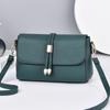 Bolsa Feminina Bolsa Transversal 2024 Nova Bolsa de Verão Bolsa de Ombro Tendência Portátil Moda Bolsa para Mãe de Meia-Idade Bolsa Pequena Dropshipping