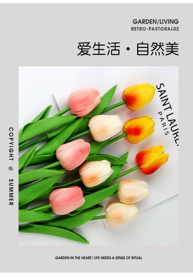 郁金香_03.jpg
