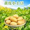 Batatas pequenas de casca amarela enriquecidas com selênio de Enshi, Hubei, entrega 3/5/ 4,5 kg, caixa de presente de vegetais de batata doce e macia, fruta fresca