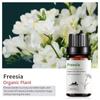 Exportación Transfronteriza Aceite Esencial Individual Fragancia Aromaterapia Masaje Aceite Esencial Sándalo Difusor Mayoreo Muestra de 10 ml