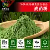 Hierba de Trigo en Polvo Bebida Sólida Hoja de Cebada Polvo de Jugo Verde Polvo Sustituto de Comida Materia Prima Grado Alimenticio Extracto de Cebada Venta al por Mayor