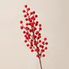 Bolsa de la Suerte Accesorios Dios de la Riqueza Fruta del Dinero Bayas Rojas Hojas de Ginkgo Eucalipto Arreglo Floral DIY Adornos de Año Nuevo Decoraciones
