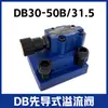 Válvula Solenoide de Válvula Hidráulica Válvula de Alivio de Presión DBW/DB10/20/30/-24V/220V/12V Válvula de Alivio de Presión Operada por Piloto