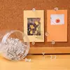 Alfinetes Transparentes para Decoração, Alfinetes de Mensagem para Quadros de Cortiça, Quadros de Mensagens, Tachinhas, Parede de Fotos