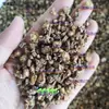 Medicina herbal a prueba de viento de varias especificaciones, origen: Mongolia Interior, Mongolia Exterior, Noreste de China, Hebei, Gansu. Cortavientos del norte, Cortavientos de Guan
