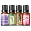 Aceite Esencial de Masaje para la Belleza de la Piel 10ml Masaje Spa Aceite Esencial Cuerpo Completo Delicado Cuidado Aceite Esencial Fabricante Salón de Belleza Venta al por Mayor